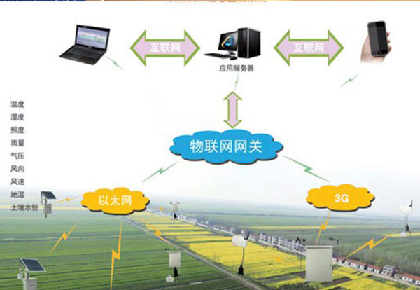 数据采集与运算智能化方案